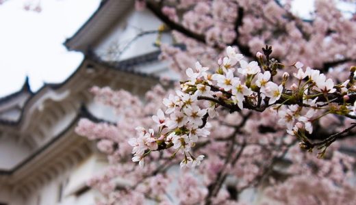 姫路でも出会い系で出会える！掲示板の危険性やおすすめスポットまで